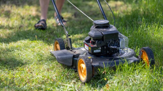 Lawn & Yard Helper – Classic Moneymaker